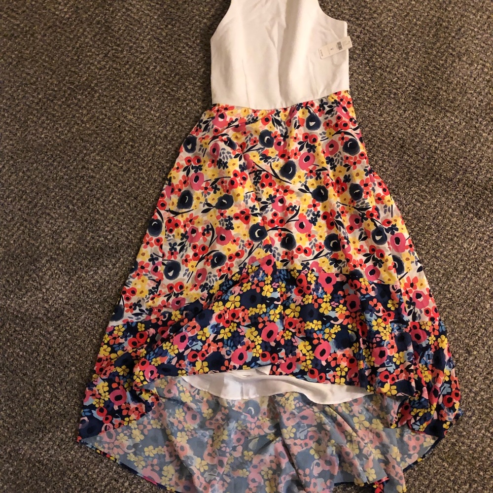 NWT - Anthropologie Medium Hutch Floral Dress - Picture 3 of 8
